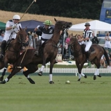 Polo, Commercial Wedding Photographers: Photoscience.co.uk